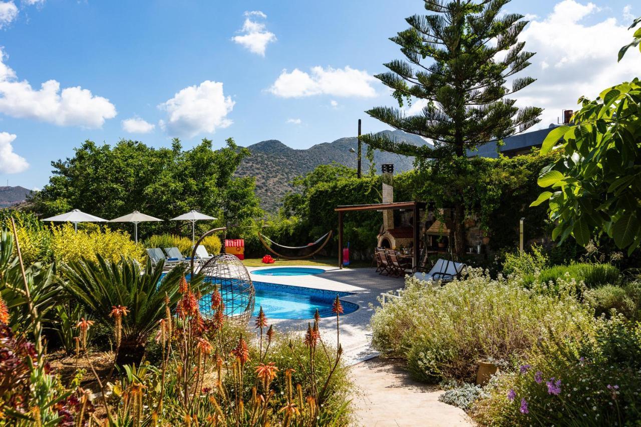 Alonia Villa, Refined Living With 50M2 Private Pool, By Thinkvilla Melidhonion  Экстерьер фото